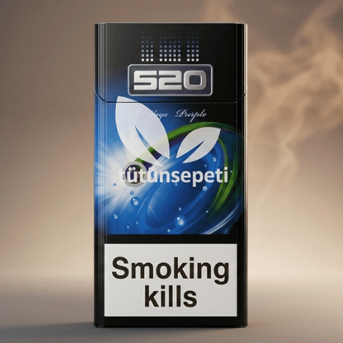 520 Kalpli Sigara 2 Ways Purple – Mentol Böğürtlen